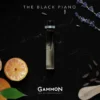 Gammon BLACK NOTES explorer set - 3 Gammon BLACK NOTES explorer set - set testerjev za Gammon BLACK NOTES Kolekcijo Parfumov - 4 x 2 ml