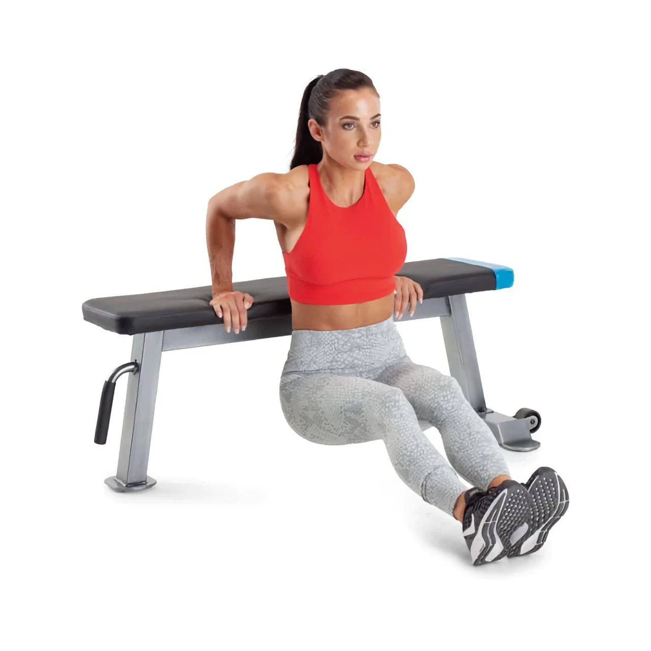 Pro-Form Carbon Strength Flat Bench - robustna in vsestranska ravna fitnes klop