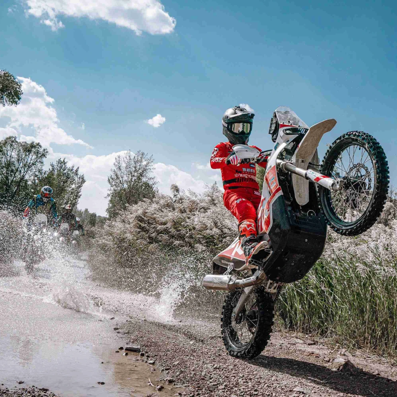 Kove rally motor 450 6